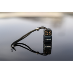 Seductive Ember ♀♂