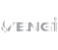 Vengi